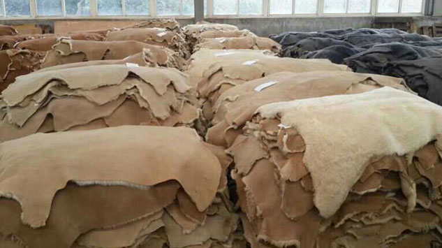 Double-Face-Sheepskin-..jpg